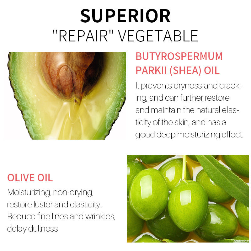 Essential Oil Mild Moisturizing EAnd Nourishing Lip